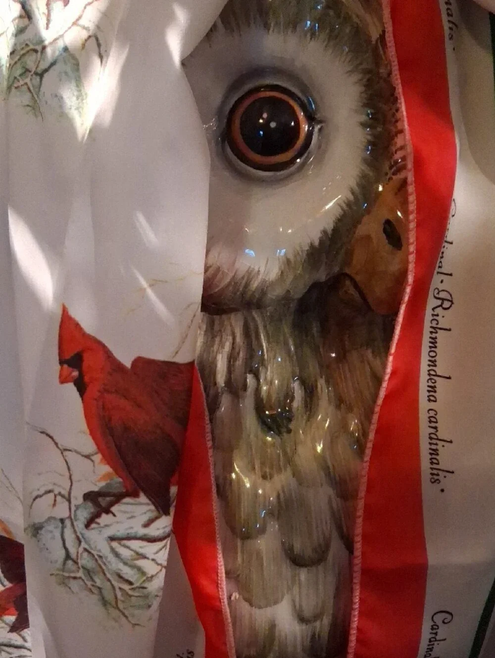 Bird Print Scarf with Cardinal Motif - Cream, Red & Green